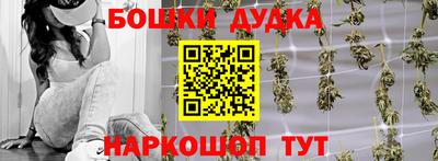 индика Малгобек