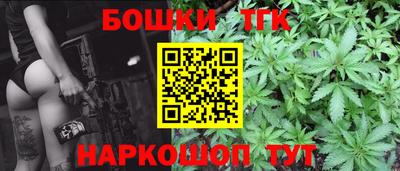 индика Малгобек