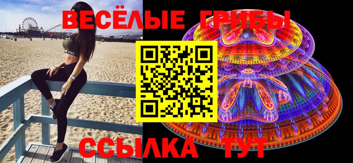Псилоцибиновые грибы Psilocybine cubensis  Вход с VPN  Светлоград  Галлюциногенные грибы Psilocybe 